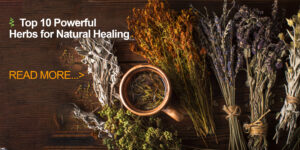 10 Powerful Herbs for Natural Healing