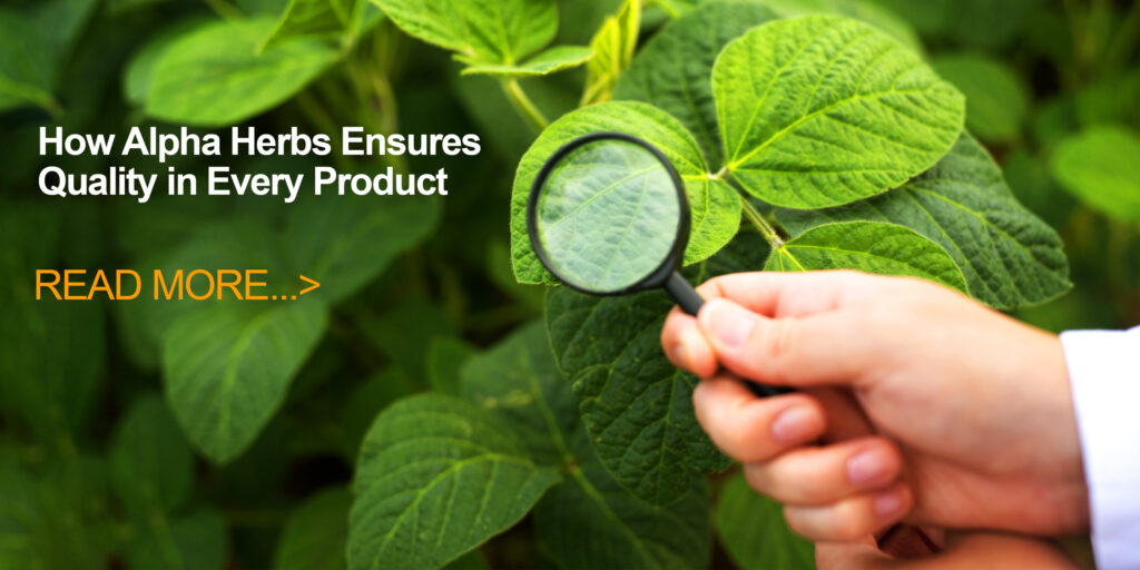 How Alpha Herbs Ensures Quality in Every Product